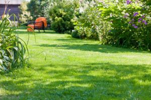 travaux jardin et paysage Ussel